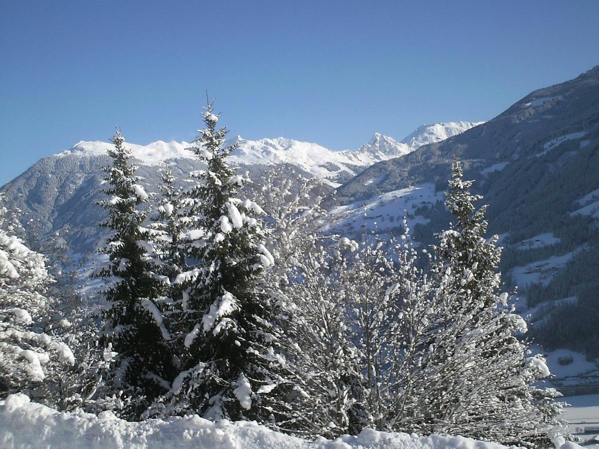 Apartment Landhaus Anton By Interhome Aschau Im Zillertal Dış mekan fotoğraf